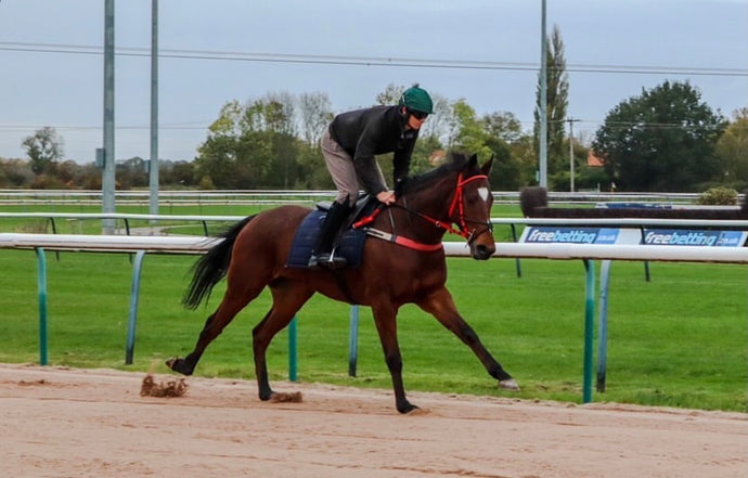 Visibility winner last time out shares available