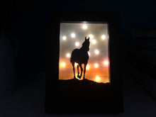 Load image into Gallery viewer, Horse on the hill