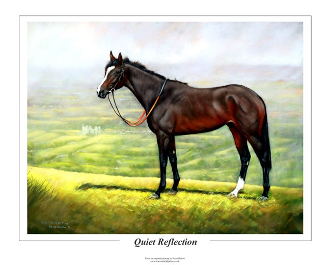 Quiet Reflection