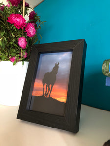 Horse on the hill